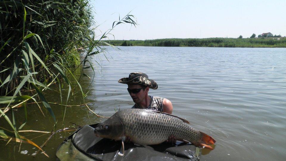 Tâncăbeşti  - 66048446689462045527322313696n.jpg